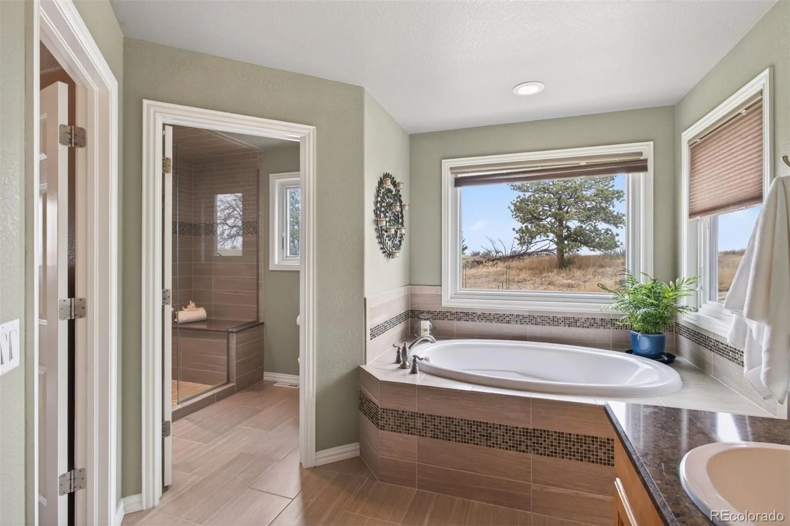 6987 Ashley Court Parker CO 80134 MLS #REC4260796 06022026062419 1600 18
