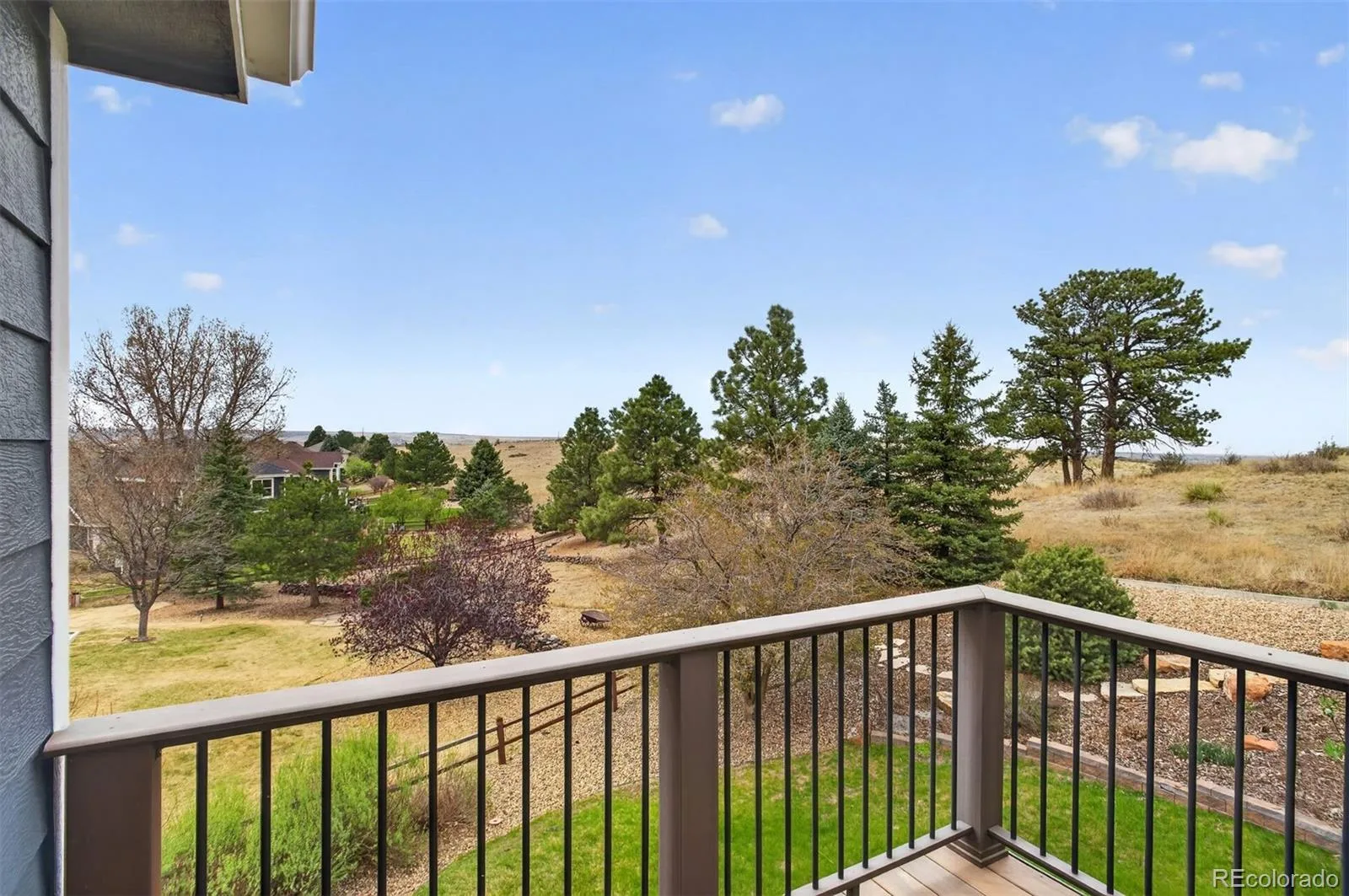6987 Ashley Court Parker CO 80134 MLS #REC4260796 06022026062419 1600 19