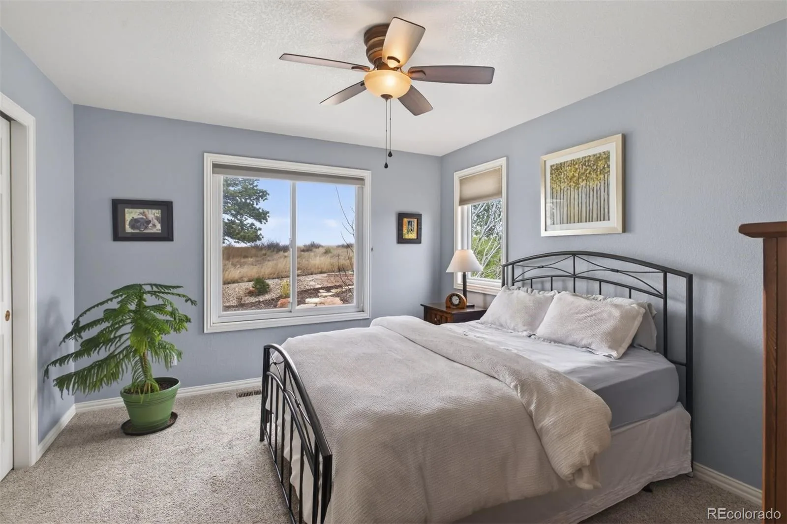 6987 Ashley Court Parker CO 80134 MLS #REC4260796 06022026062419 1600 21