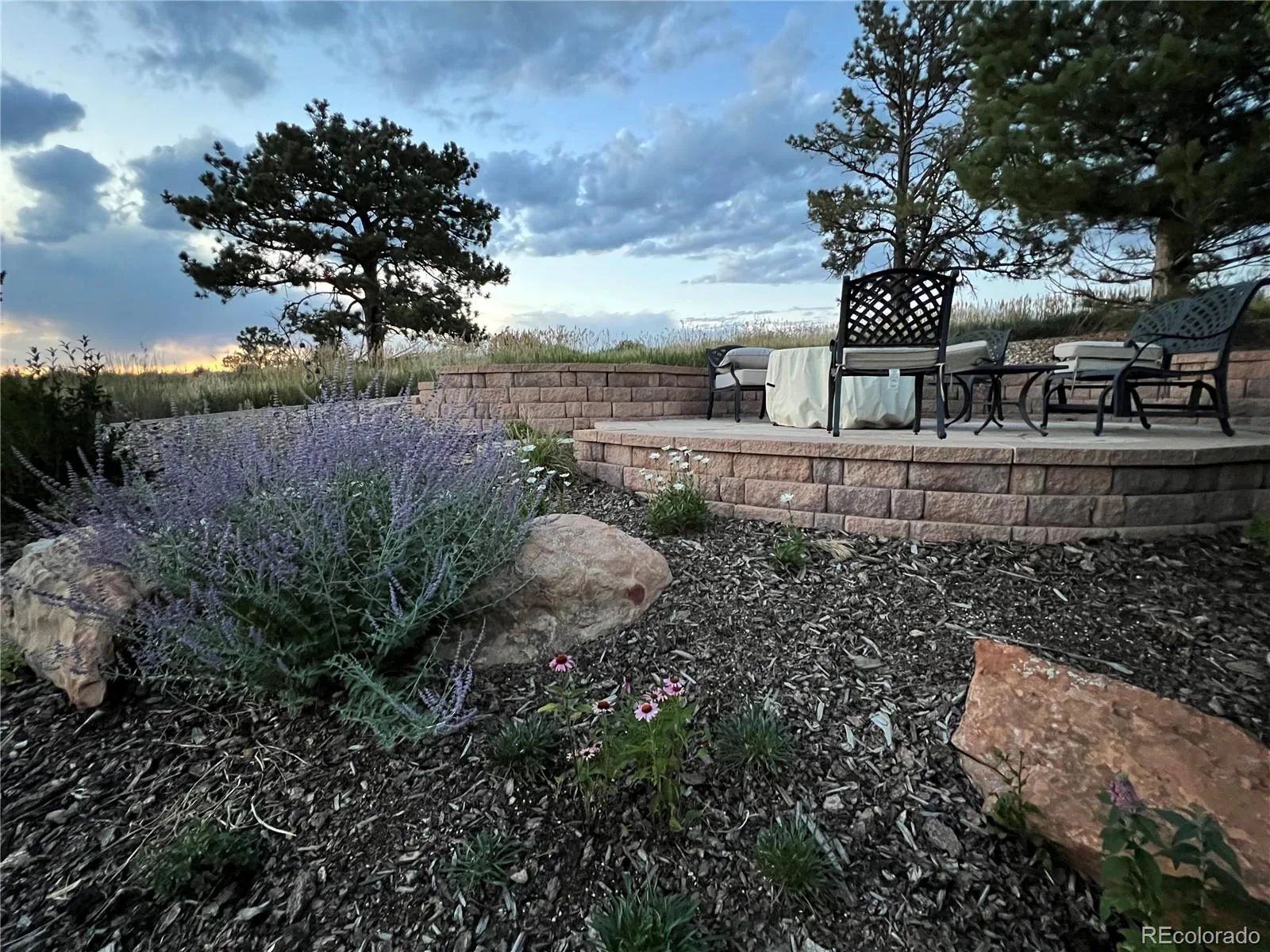 6987 Ashley Court Parker CO 80134 MLS #REC4260796 06022026062419 1600 35