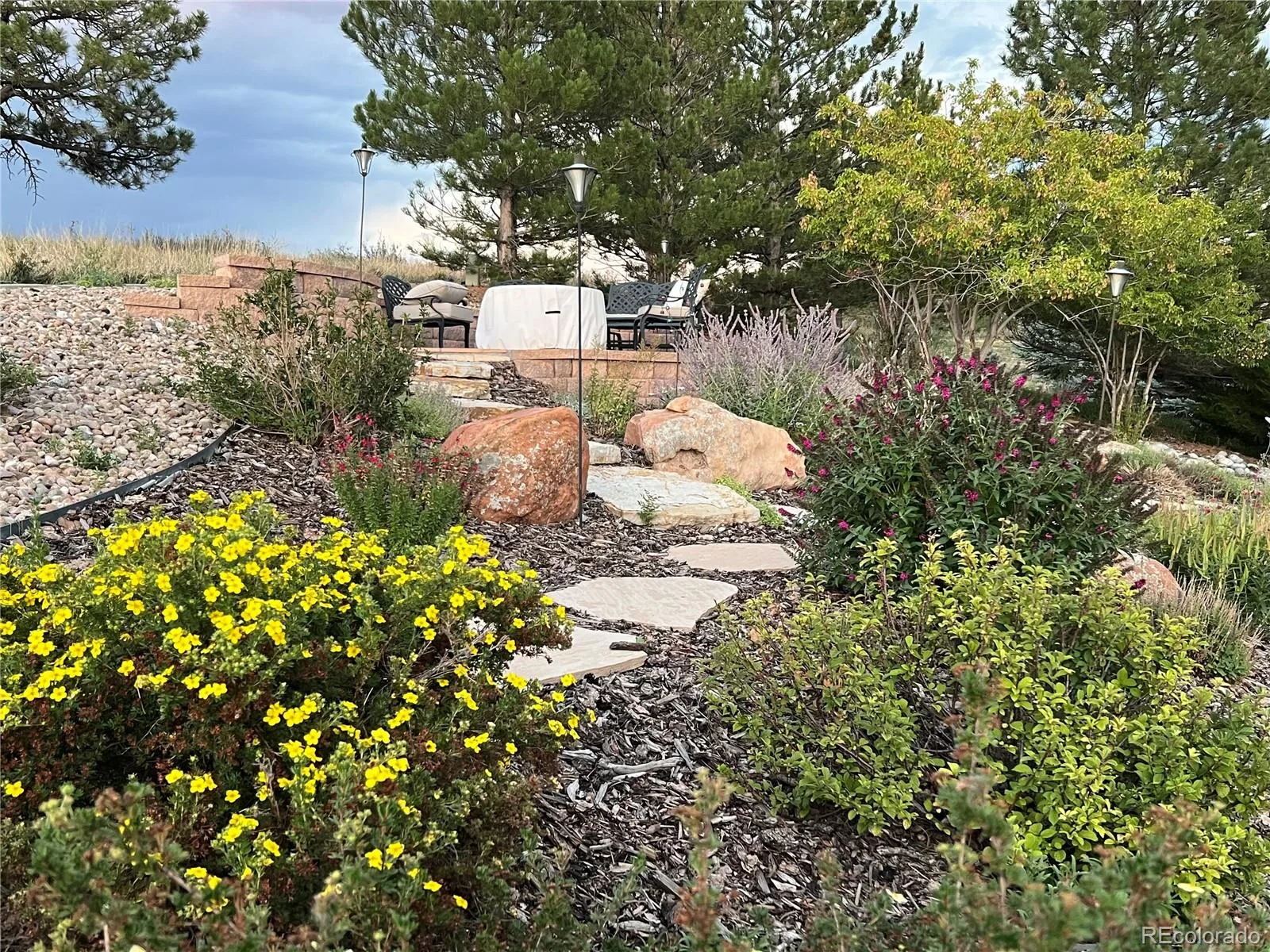6987 Ashley Court Parker CO 80134 MLS #REC4260796 06022026062419 1600 37