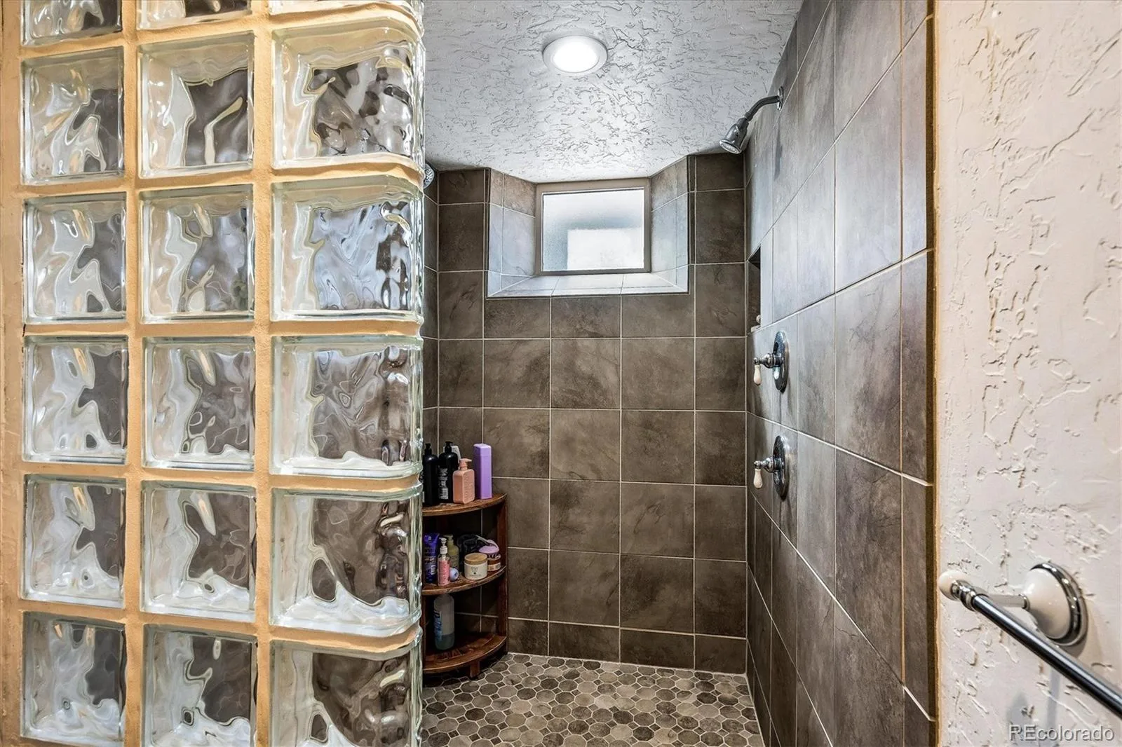 1585 Krameria Street Denver CO 80220 MLS #REC4262637 06092026203641 1600 25