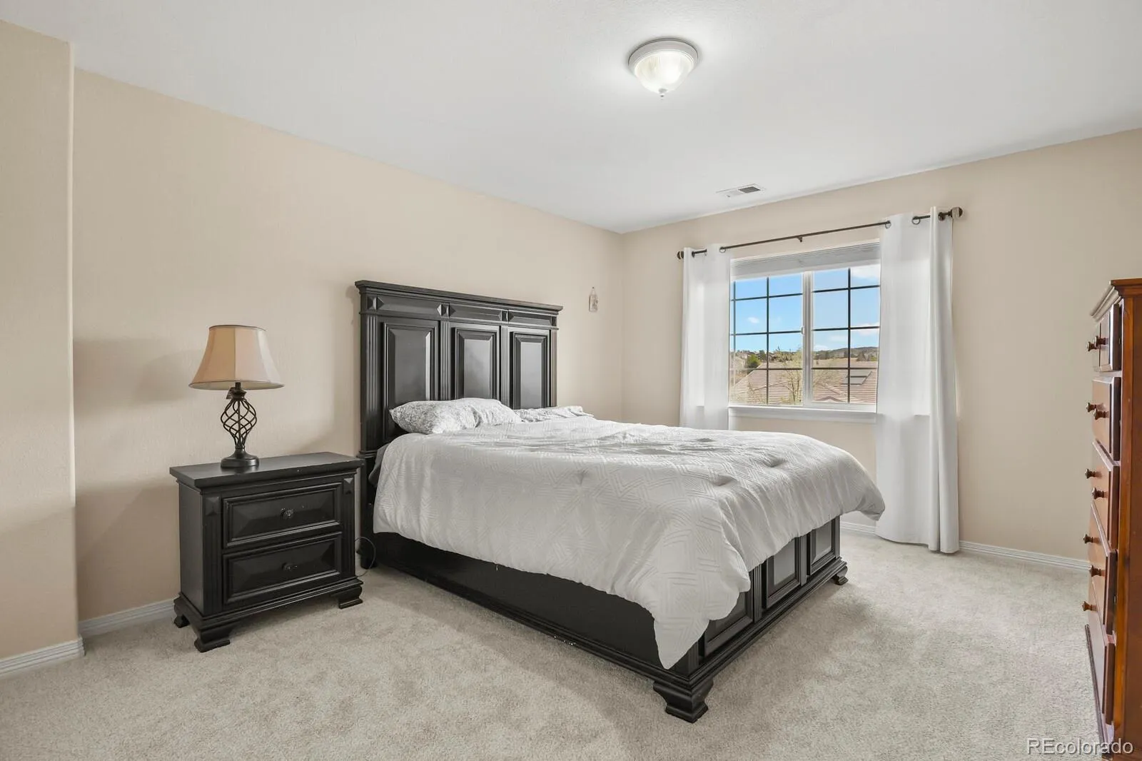 10081 Charissglen Lane Highlands Ranch CO 80126 MLS #REC4268597 05022026162001 1600 22