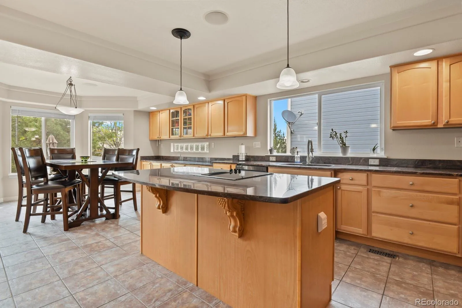 10081 Charissglen Lane Highlands Ranch CO 80126 MLS #REC4268597 05022026162001 1600 6