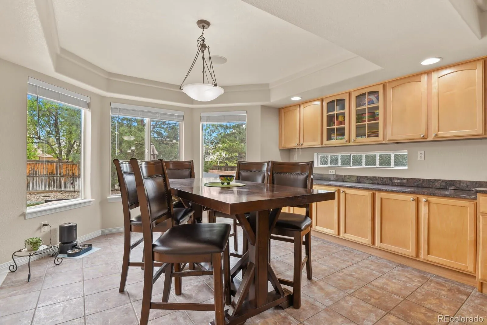 10081 Charissglen Lane Highlands Ranch CO 80126 MLS #REC4268597 05022026162001 1600 9