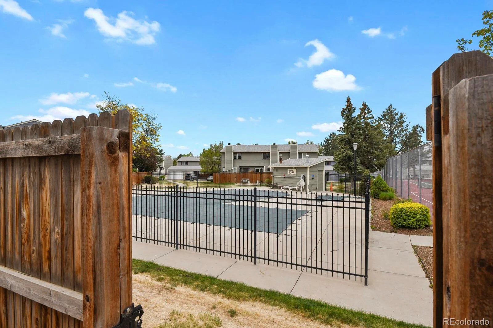8771 Carr Loop Arvada CO 80005 | MLS #REC4278297 07302026191405 1600 14