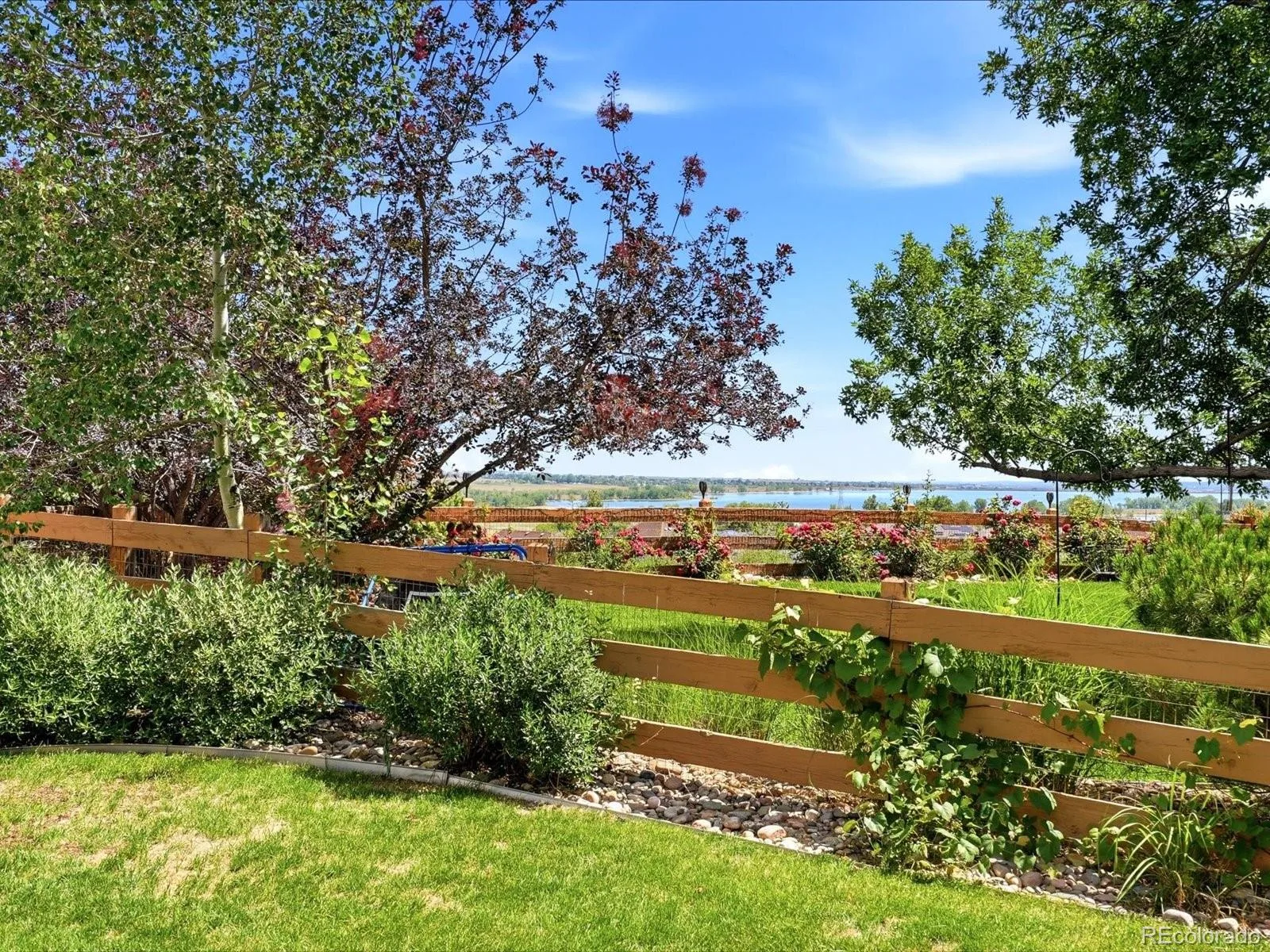 13625 W 86th Drive Arvada CO 80005 MLS #REC4282507 06202026002058 1600 45