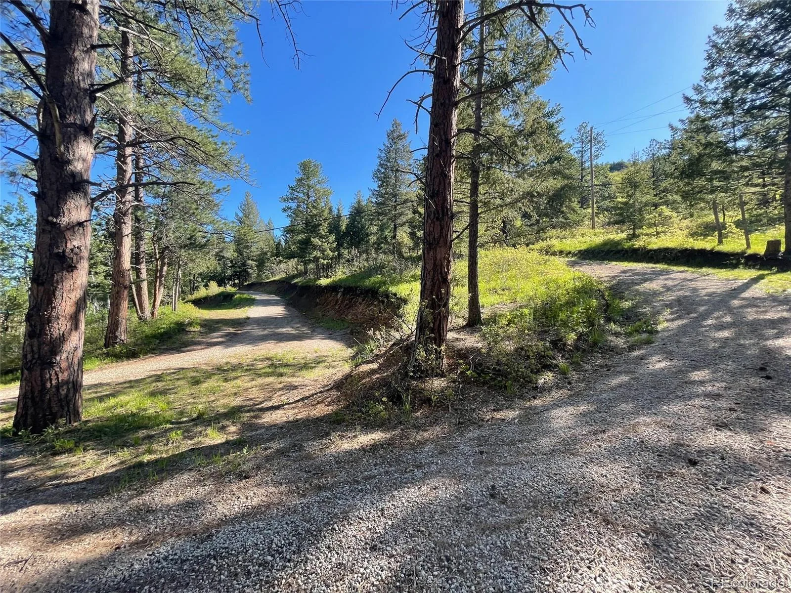 Lot 2 S Maxwell Hill Road Littleton CO 80127 | MLS #REC4282872 08072026154226 1600 24