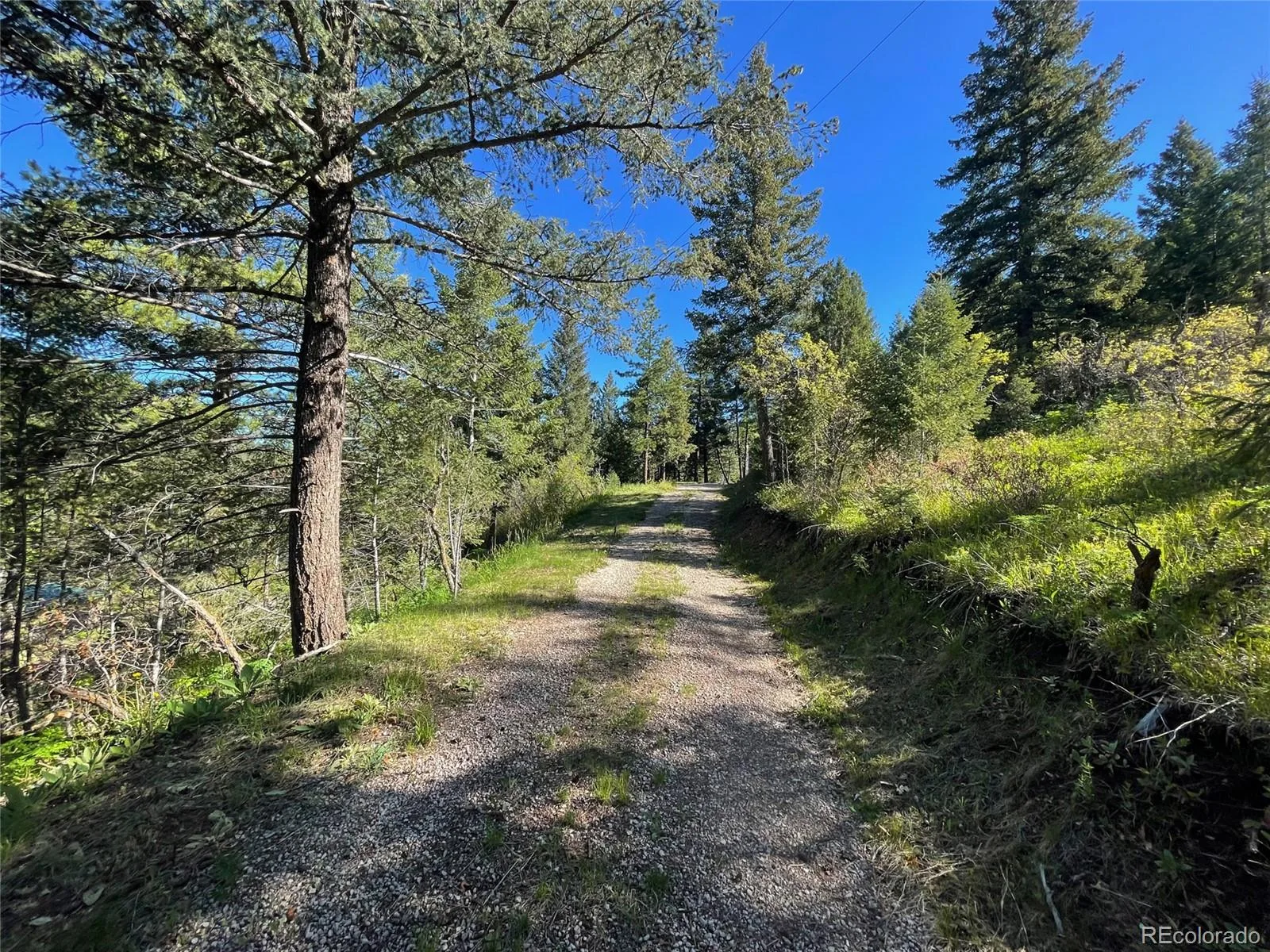 Lot 2 S Maxwell Hill Road Littleton CO 80127 | MLS #REC4282872 08072026154226 1600 25