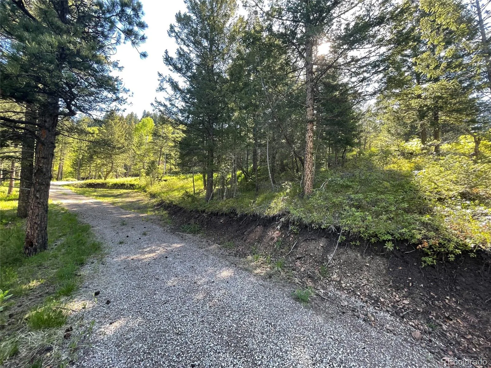 Lot 2 S Maxwell Hill Road Littleton CO 80127 | MLS #REC4282872 08072026154226 1600 35