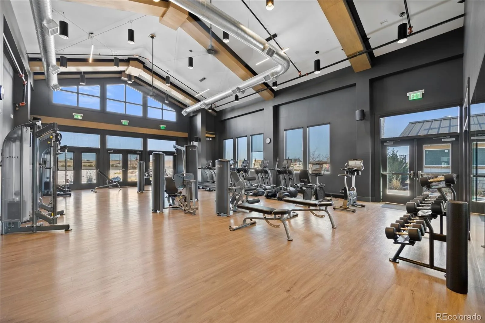 5037 N Quemoy Street Aurora CO 80019 | MLS #REC4295957 07012026210055 1600 41
