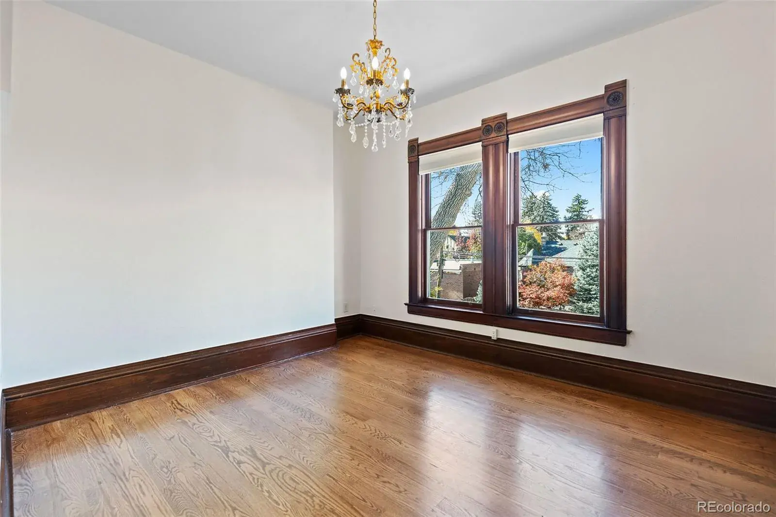 02202026224012 1600 31