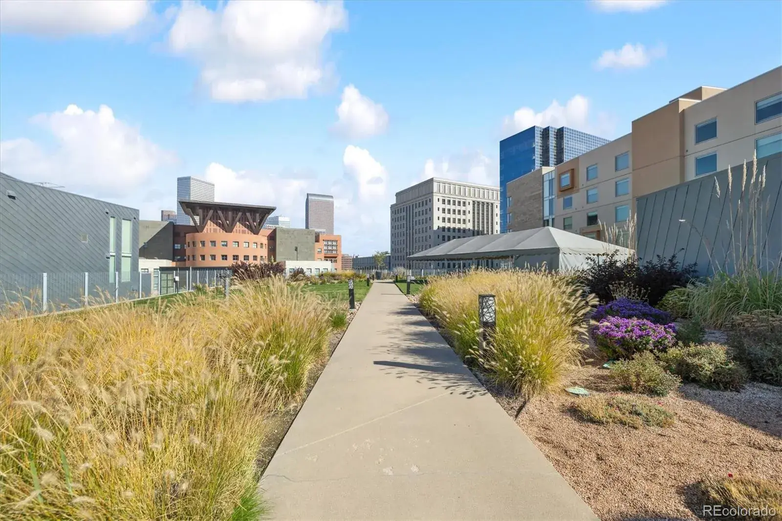 01082026004735 1600 31