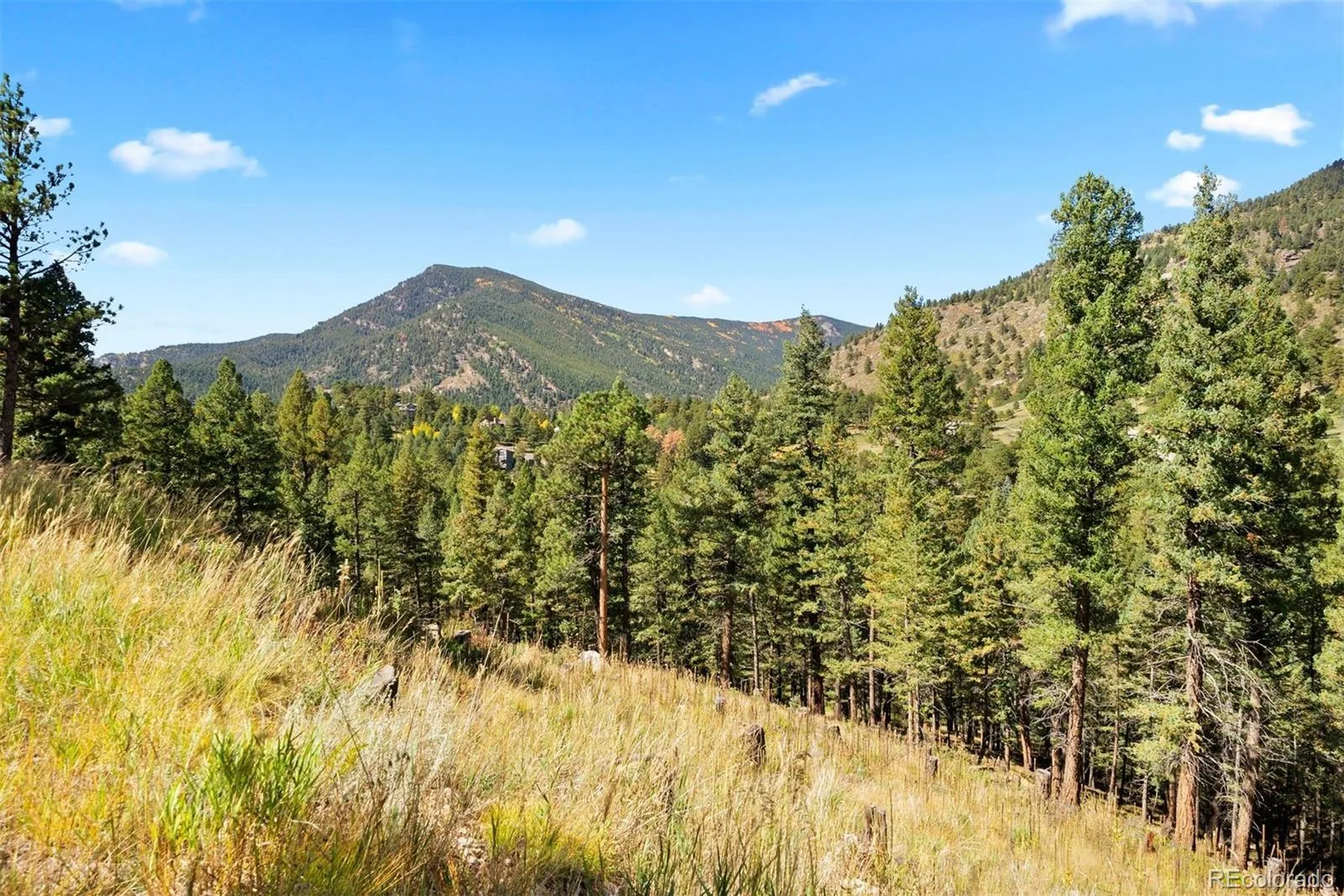 Lot 83 Conifer Drive Evergreen CO 80439 | MLS #REC4303797 07172026182510 1600 12