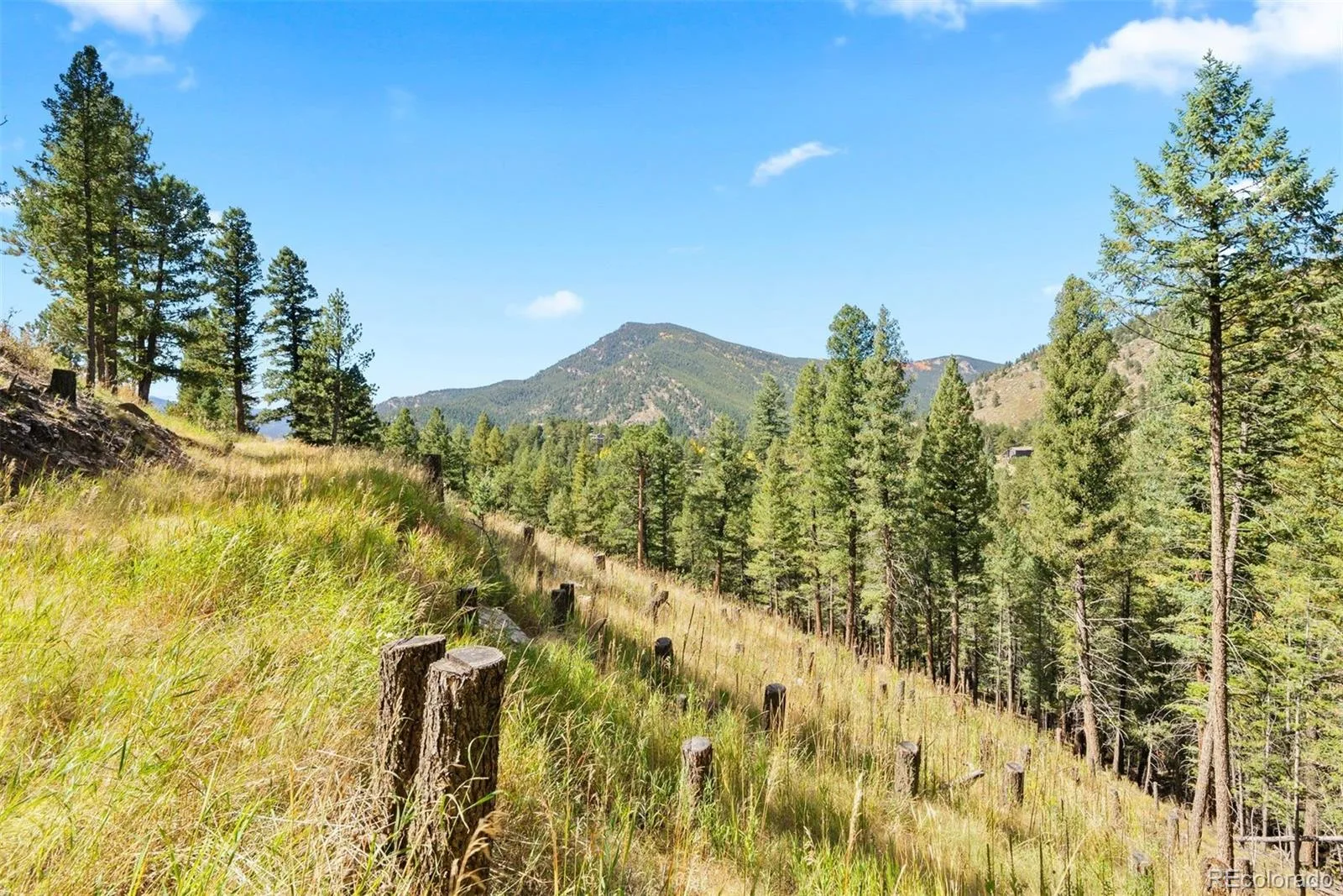 Lot 83 Conifer Drive Evergreen CO 80439 | MLS #REC4303797 07172026182510 1600 13