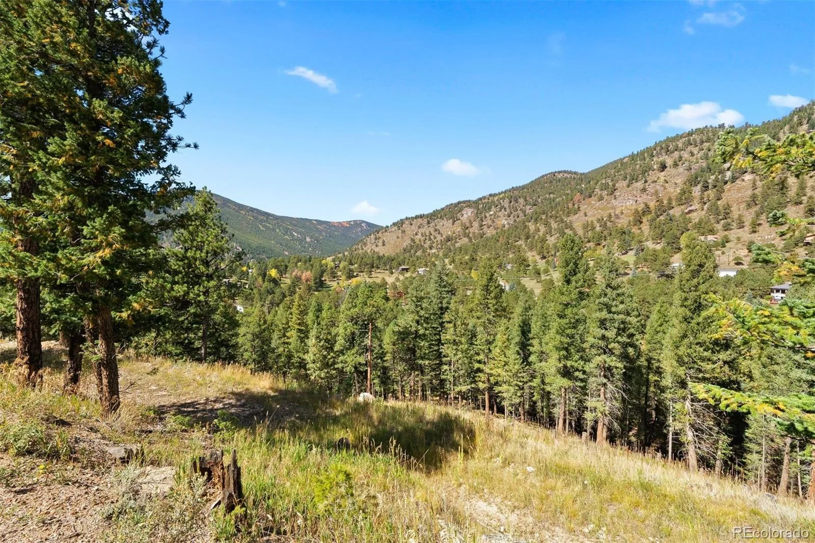Lot 83 Conifer Drive Evergreen CO 80439 | MLS #REC4303797 07172026182510 1600 14