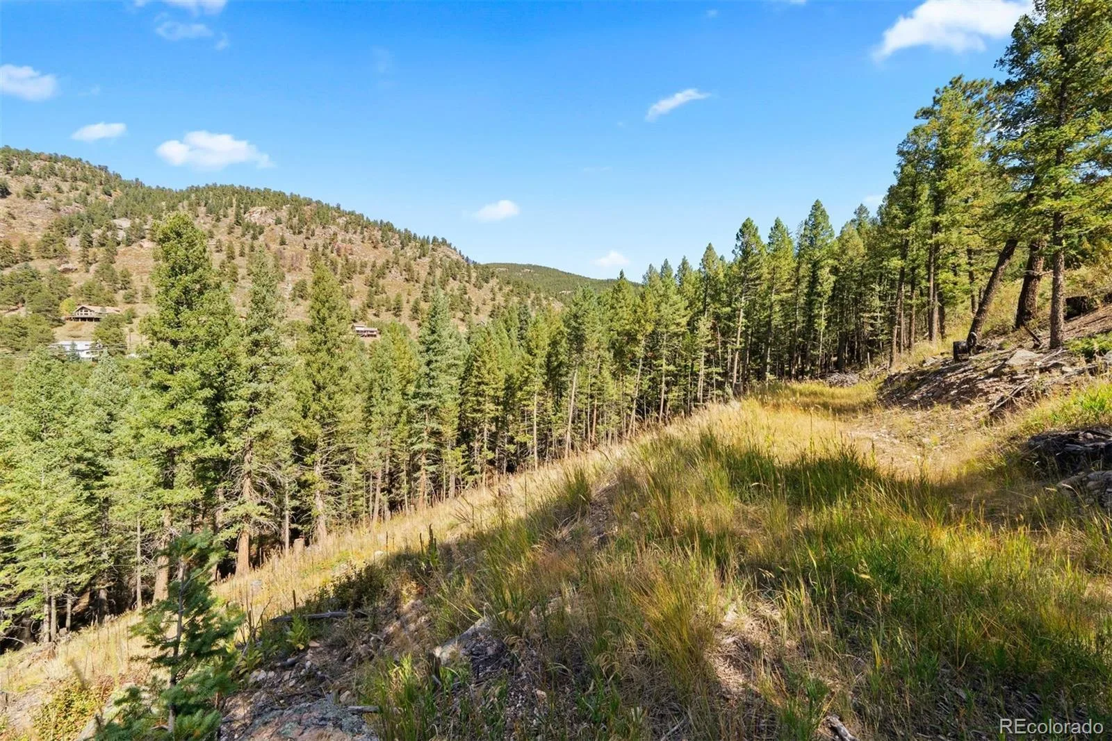 Lot 83 Conifer Drive Evergreen CO 80439 | MLS #REC4303797 07172026182510 1600 15