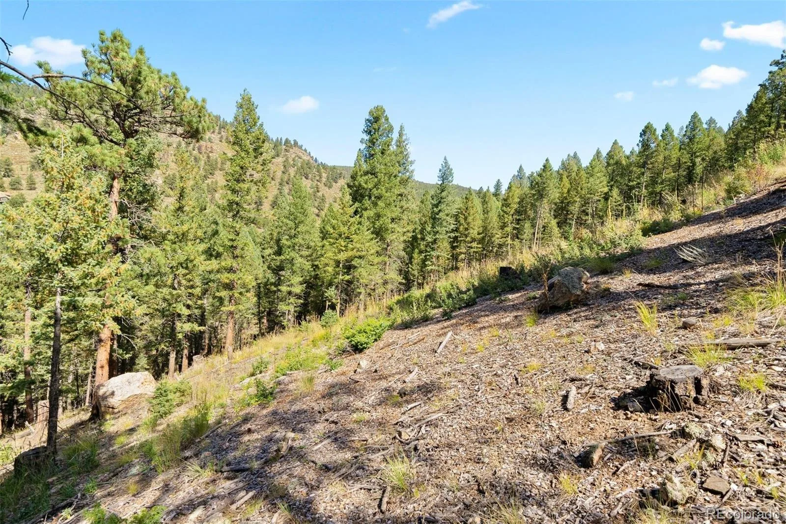 Lot 83 Conifer Drive Evergreen CO 80439 | MLS #REC4303797 07172026182510 1600 20