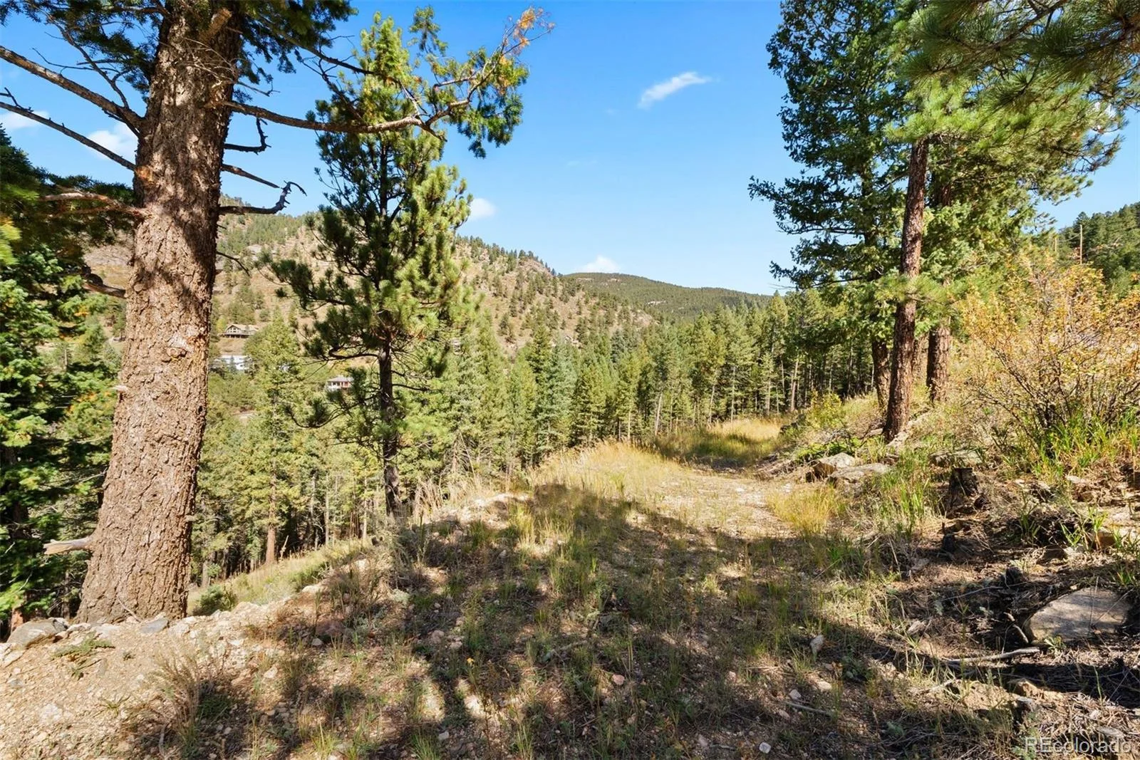 Lot 83 Conifer Drive Evergreen CO 80439 | MLS #REC4303797 07172026182510 1600 21