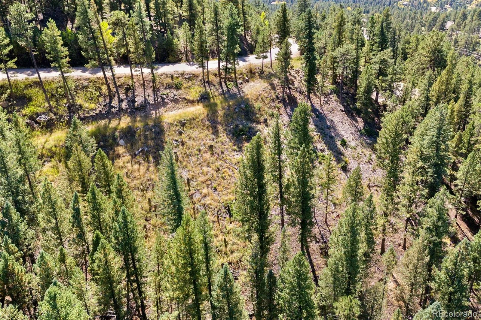 Lot 83 Conifer Drive Evergreen CO 80439 | MLS #REC4303797 07172026182510 1600 22