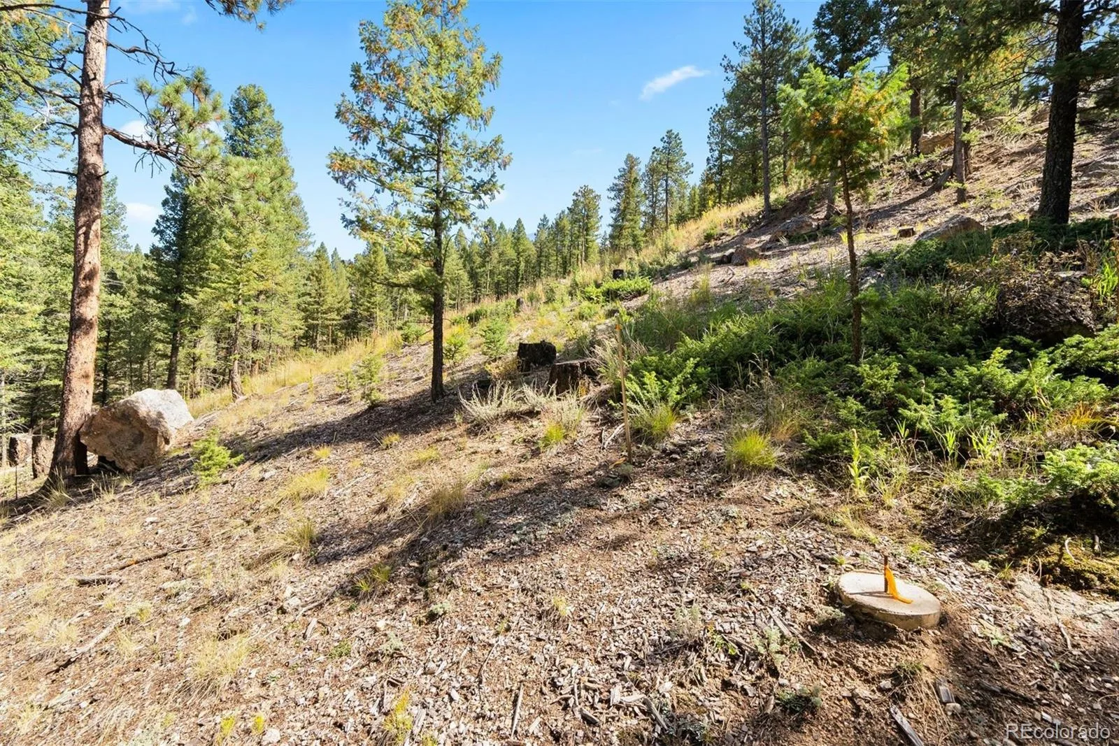 Lot 83 Conifer Drive Evergreen CO 80439 | MLS #REC4303797 07172026182510 1600 24