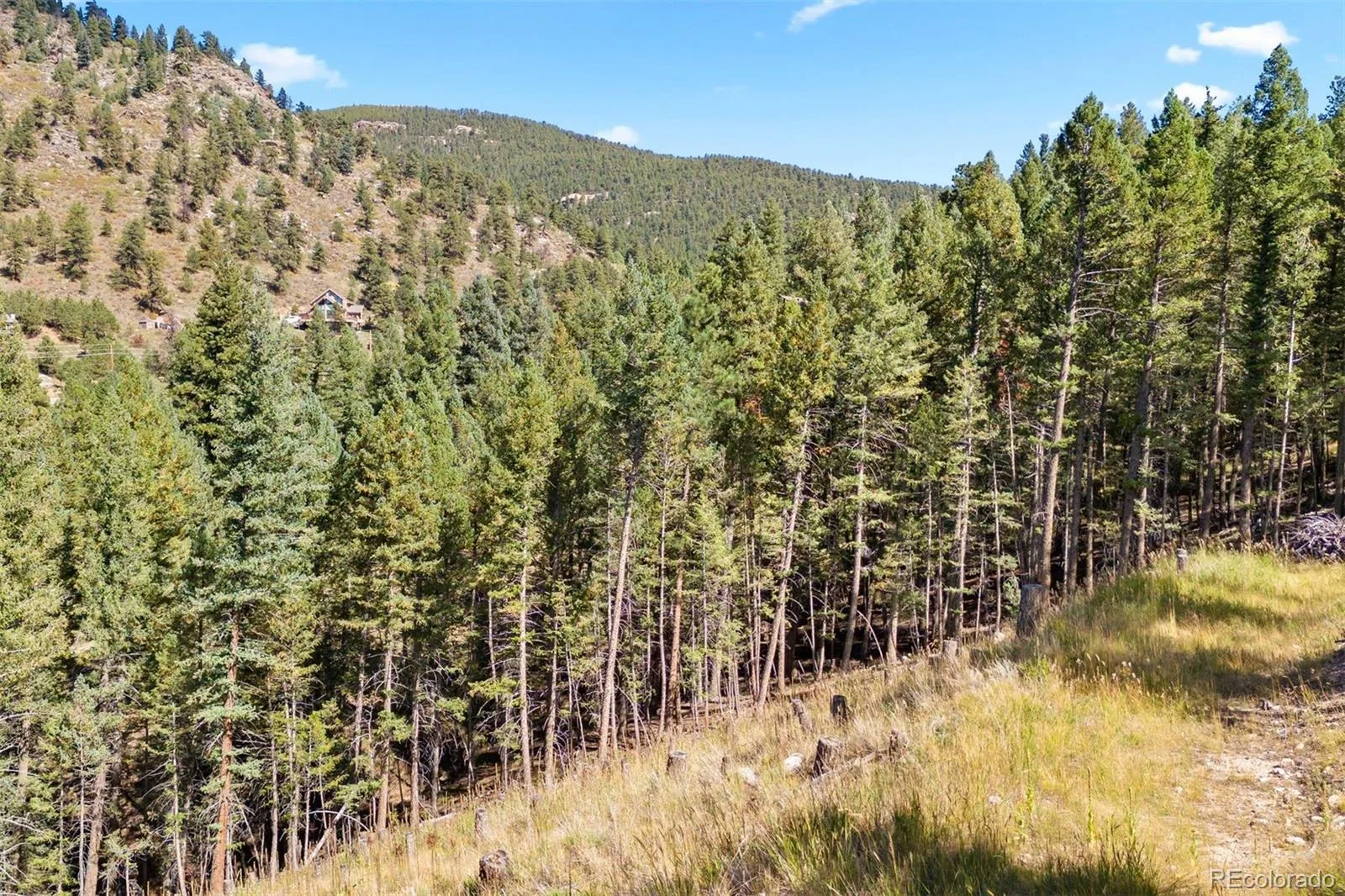 Lot 83 Conifer Drive Evergreen CO 80439 | MLS #REC4303797 07172026182510 1600 28
