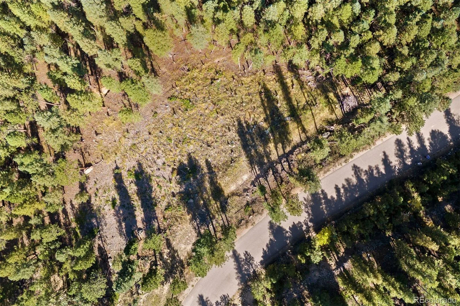 Lot 83 Conifer Drive Evergreen CO 80439 | MLS #REC4303797 07172026182510 1600 3