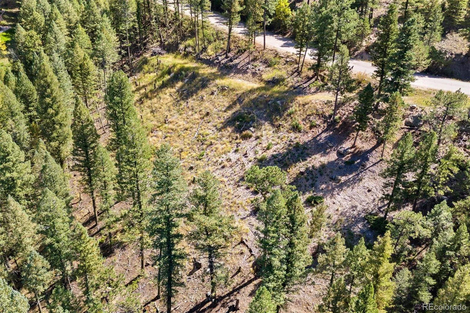 Lot 83 Conifer Drive Evergreen CO 80439 | MLS #REC4303797 07172026182510 1600 9