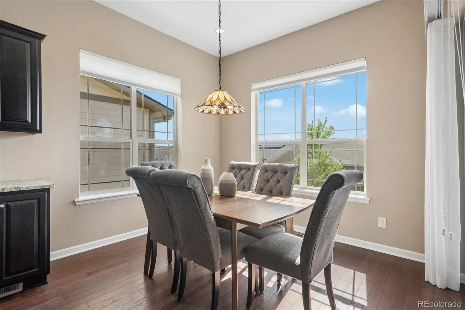 22916 E Bailey Circle Aurora CO 80016 MLS #REC4304946 05152026211259 1600 16