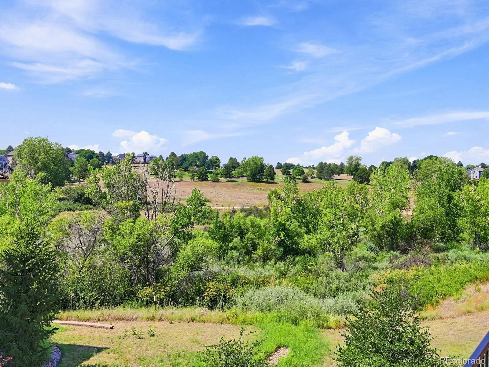 3038 Veneto Court Littleton CO 80126 | MLS #REC4307843 08142026144729 1600 40
