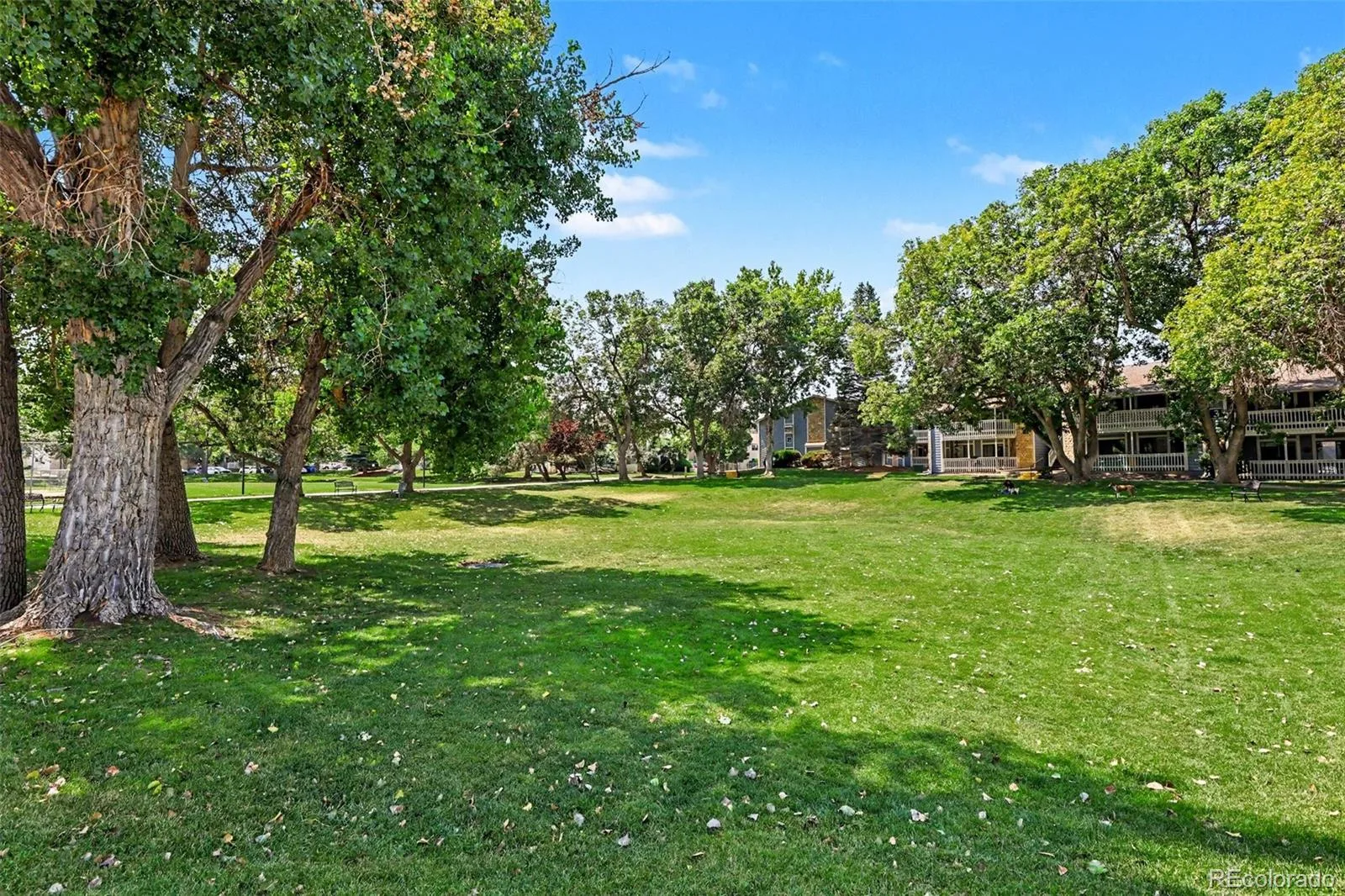 8335 Fairmount Drive #10-201 Denver CO 80247 MLS #REC4308040 07022026223154 1600 23