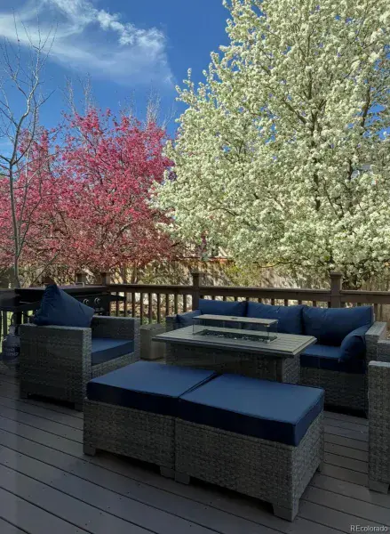 03052026155658 800 47