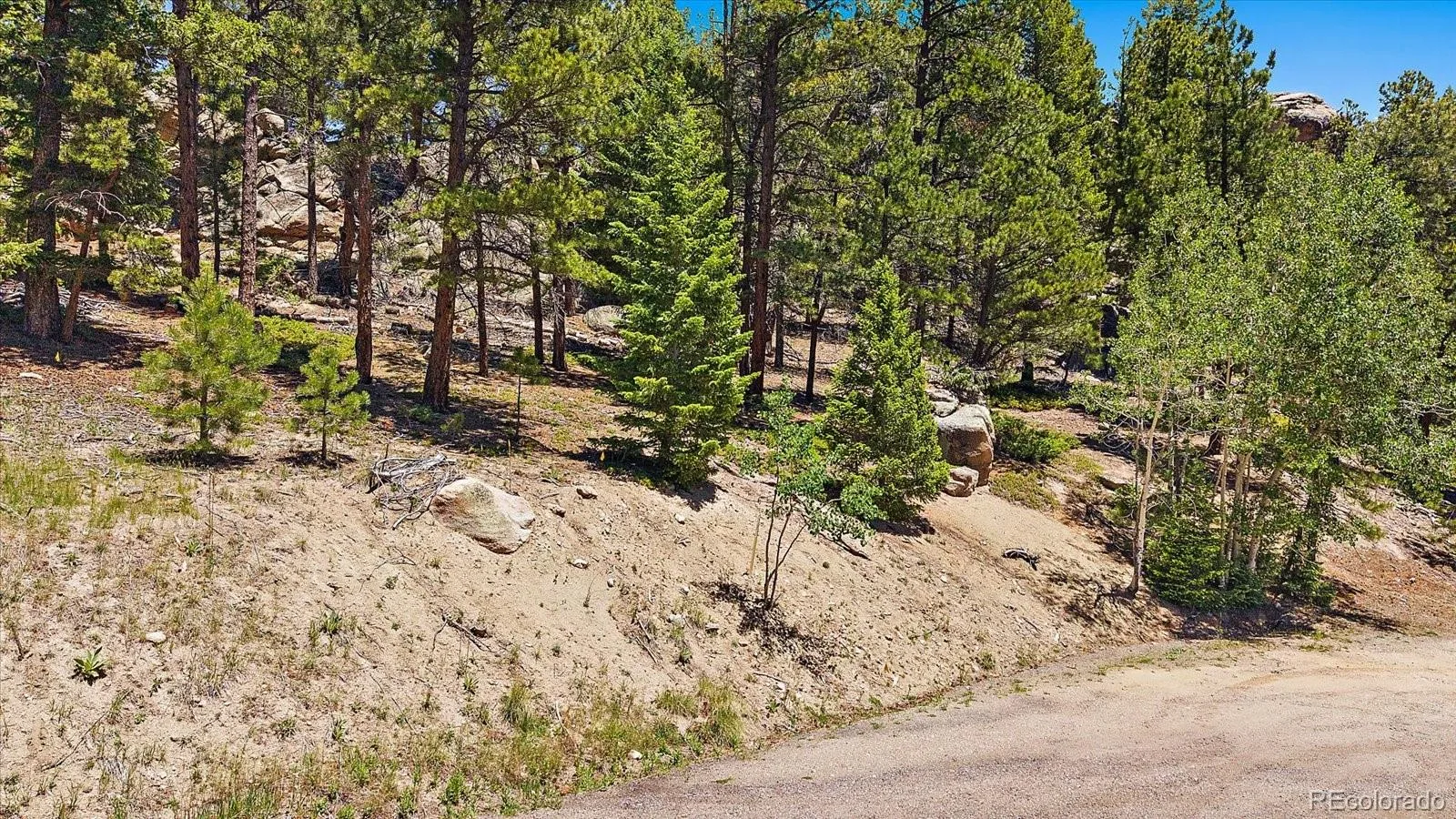 Skunk Alley Evergreen CO 80439 | MLS #REC4319366 08112026132505 1600 10
