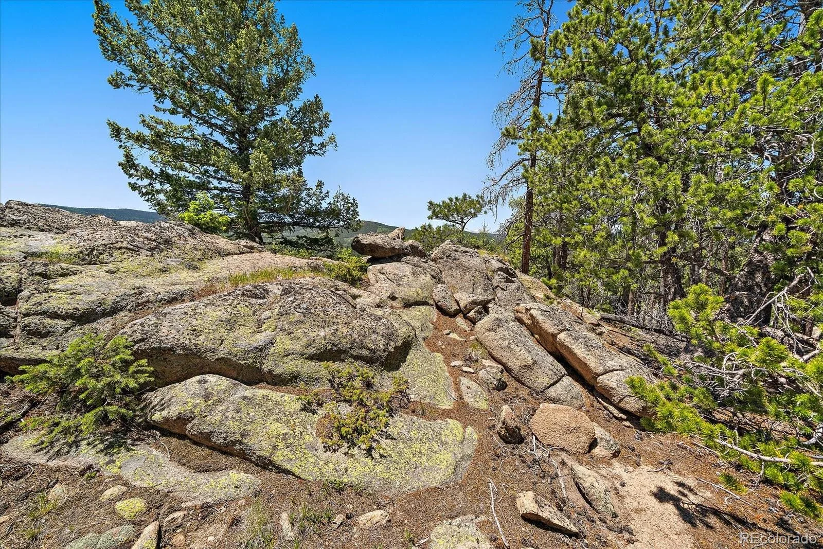 Skunk Alley Evergreen CO 80439 | MLS #REC4319366 08112026132505 1600 11