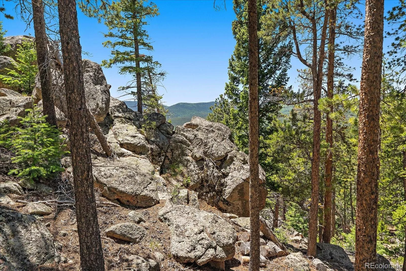 Skunk Alley Evergreen CO 80439 | MLS #REC4319366 08112026132505 1600 12