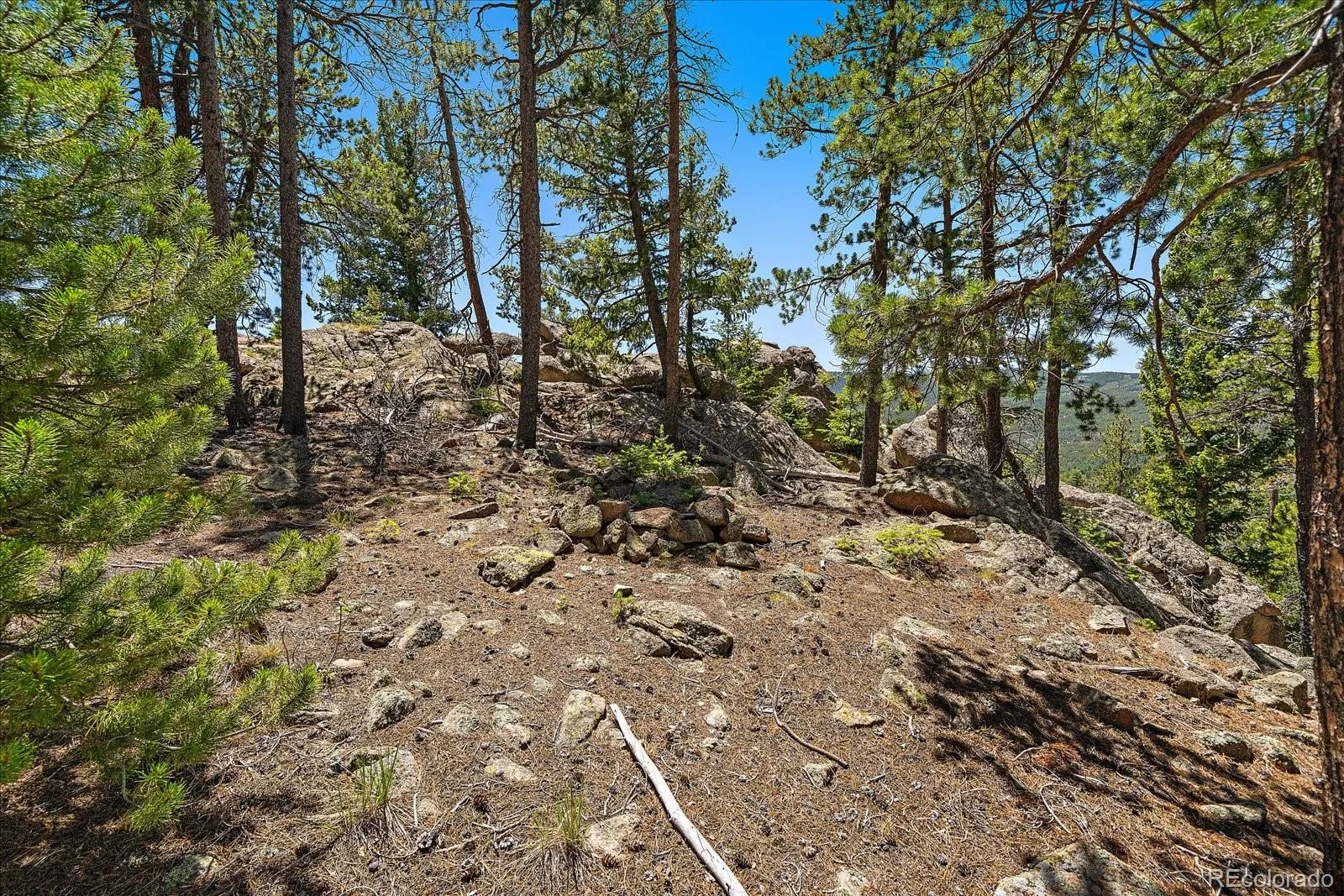 Skunk Alley Evergreen CO 80439 | MLS #REC4319366 08112026132505 1600 13
