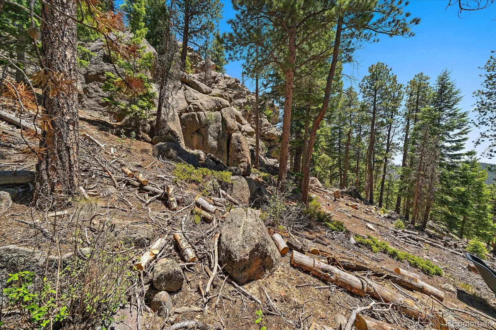 Skunk Alley Evergreen CO 80439 | MLS #REC4319366 08112026132505 1600 15