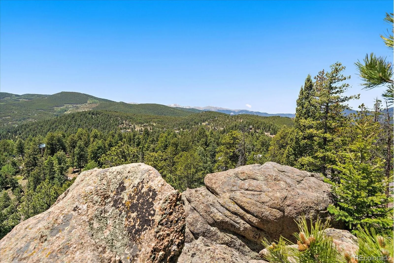 Skunk Alley Evergreen CO 80439 | MLS #REC4319366 08112026132505 1600 3