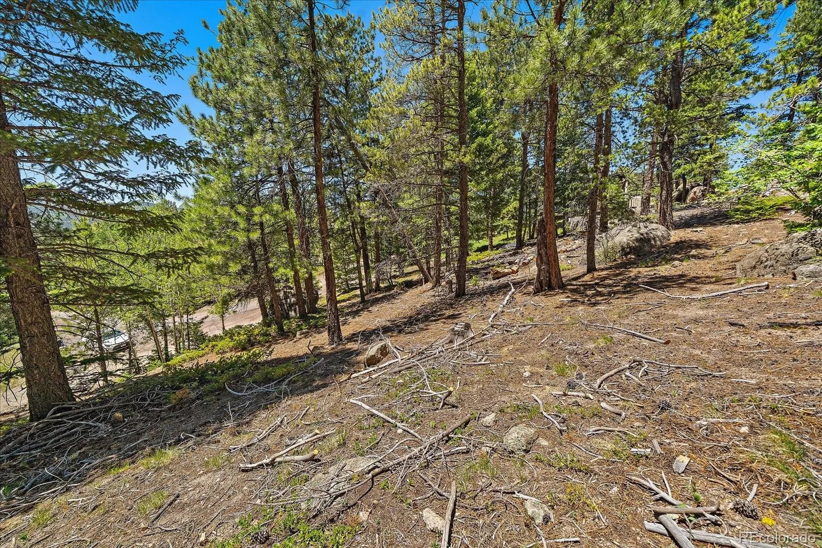 Skunk Alley Evergreen CO 80439 | MLS #REC4319366 08112026132505 1600 6