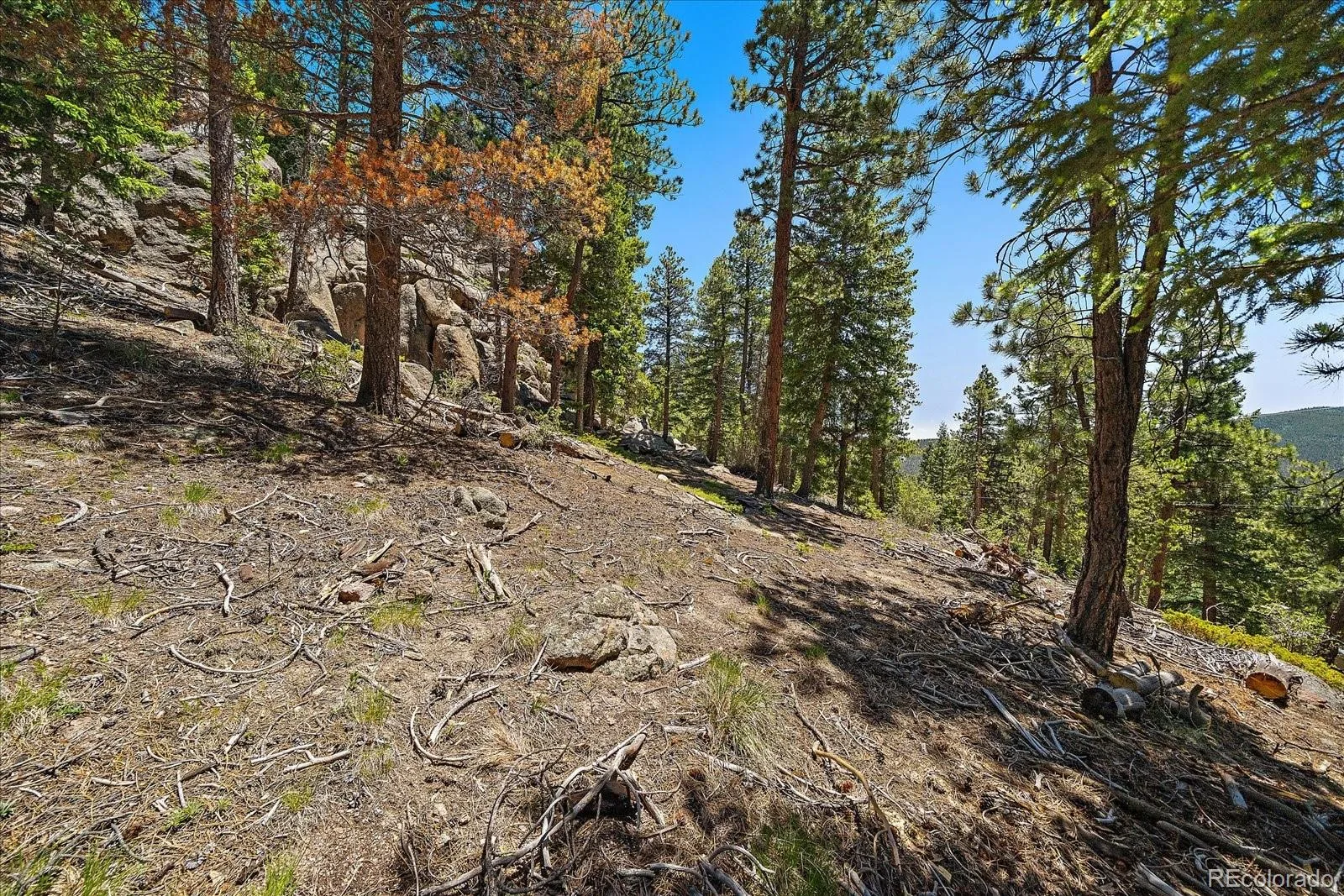 Skunk Alley Evergreen CO 80439 | MLS #REC4319366 08112026132505 1600 7