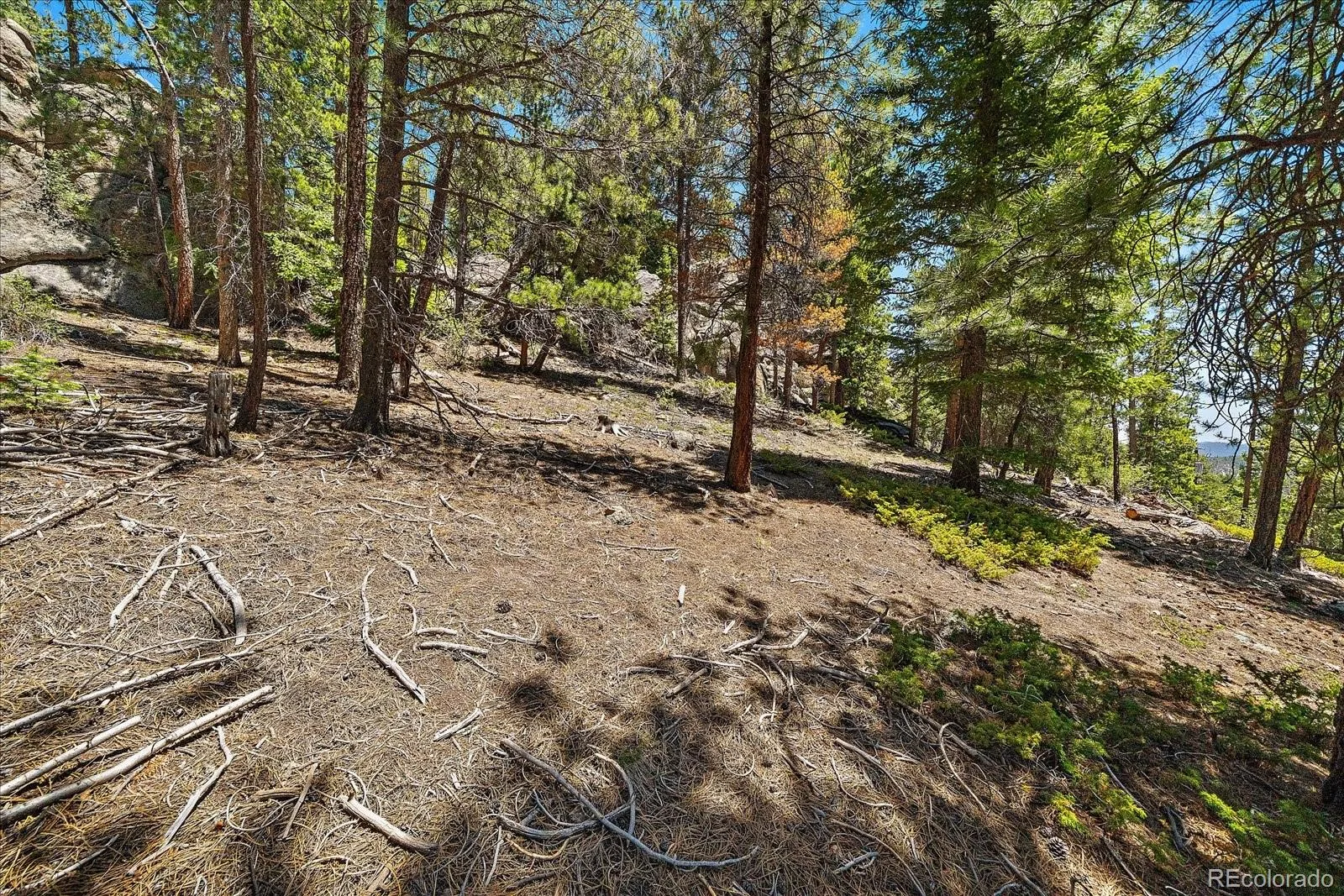 Skunk Alley Evergreen CO 80439 | MLS #REC4319366 08112026132505 1600 8