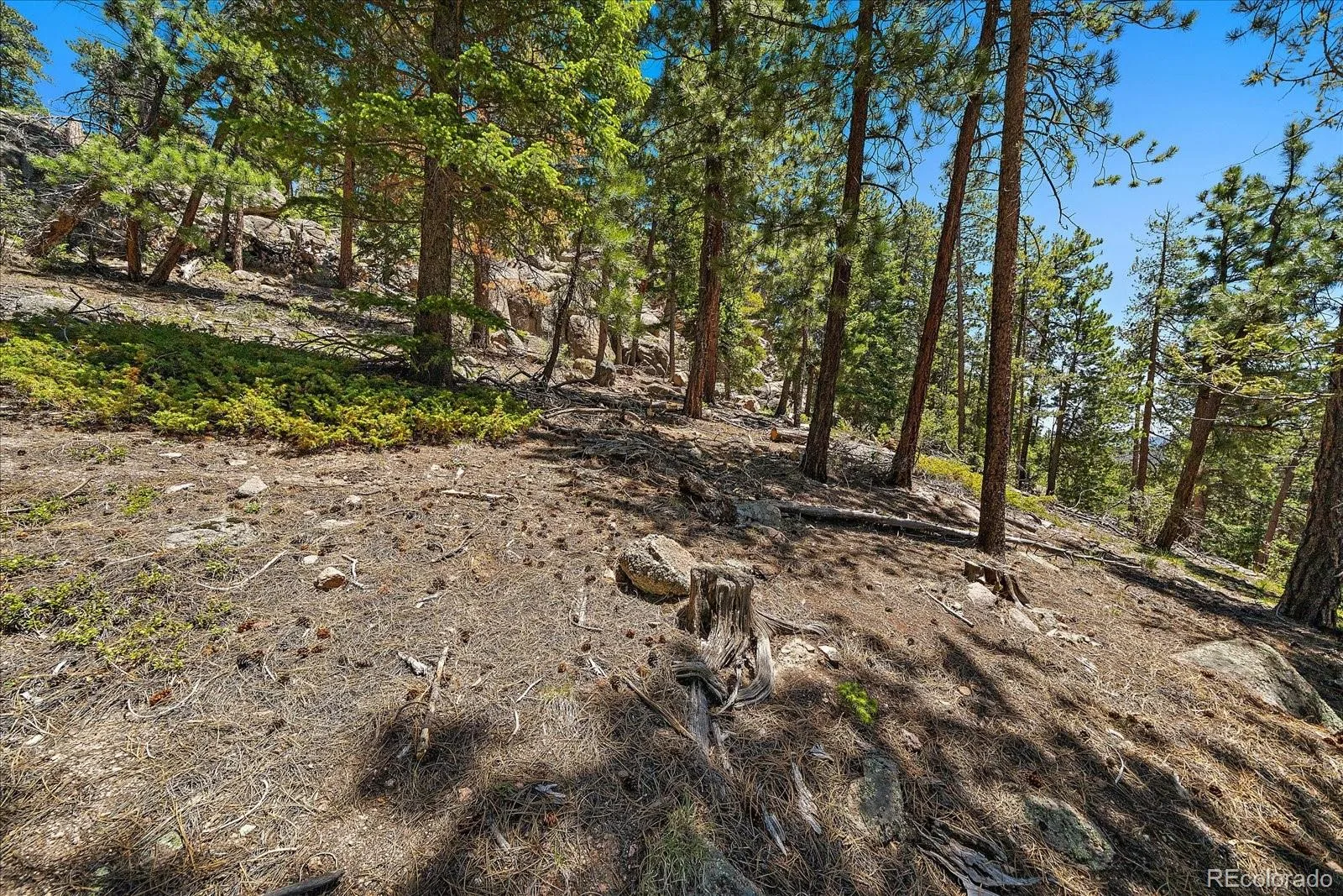 Skunk Alley Evergreen CO 80439 | MLS #REC4319366 08112026132505 1600 9