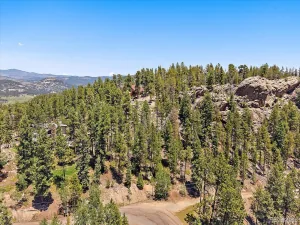 Skunk Alley Evergreen CO 80439 | MLS #REC4319366 08112026132505 300 0