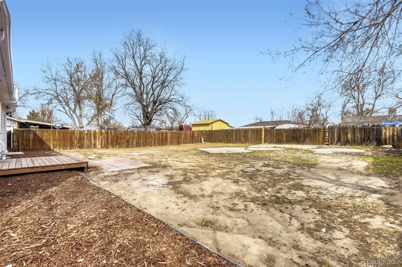 02192026211137 1600 25