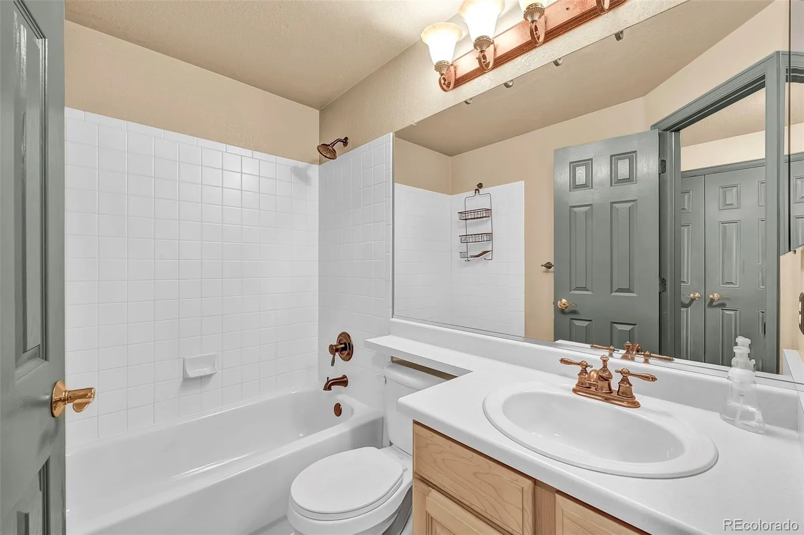 4830 Eagle Boulevard Frederick CO 80504 | MLS #REC4328013 08272026202603 1600 27