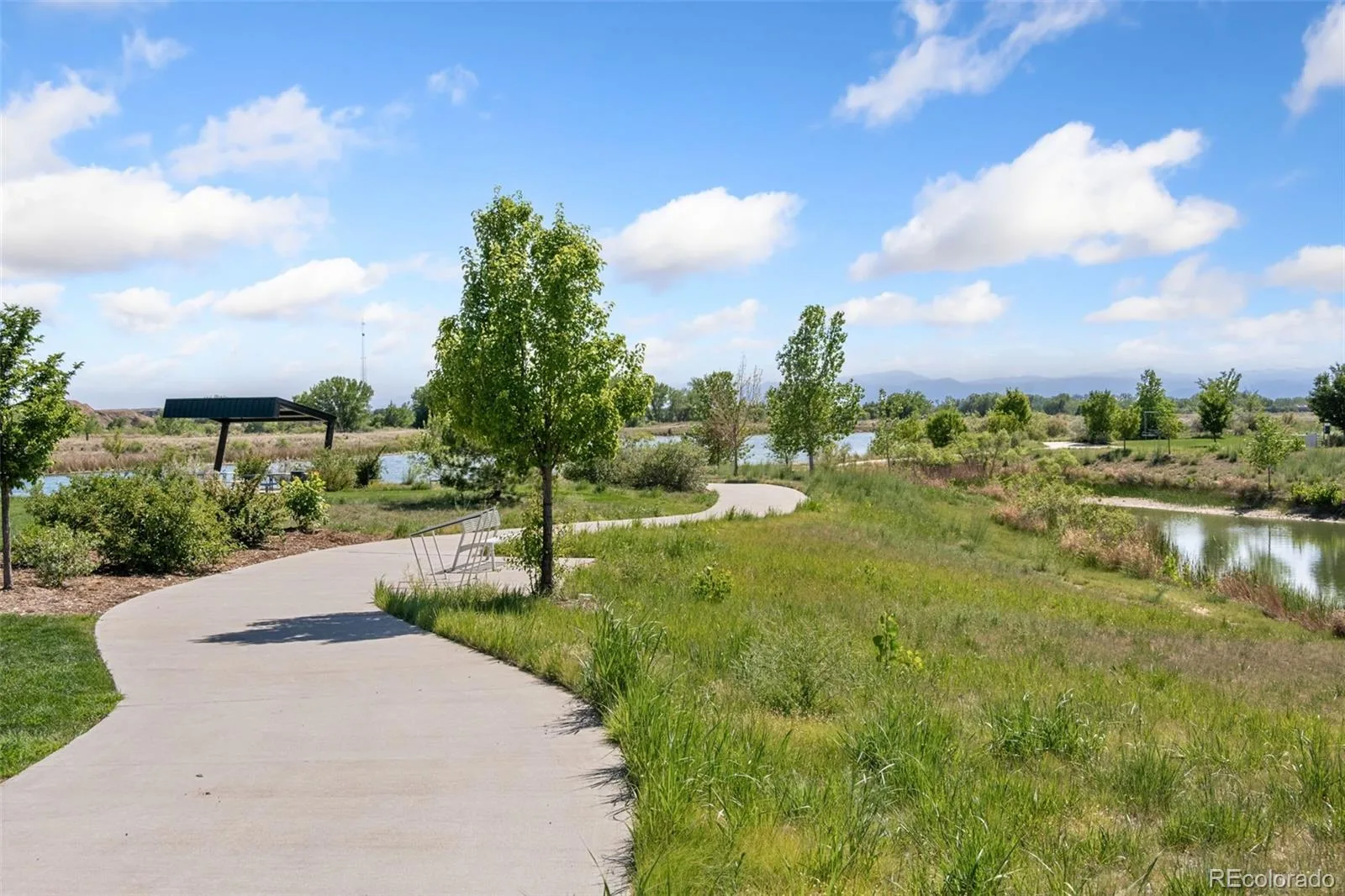 12791 Crane River Drive Longmont CO 80504 | MLS #REC4328841 06232026201231 1600 41