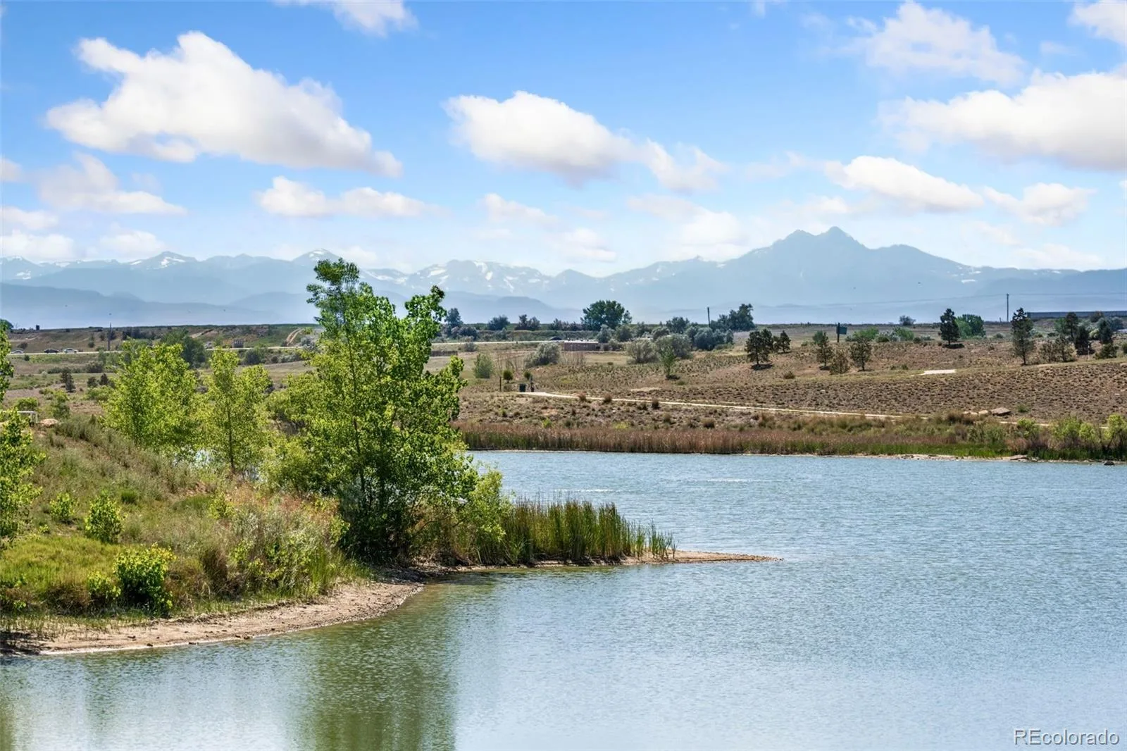 12791 Crane River Drive Longmont CO 80504 | MLS #REC4328841 06232026201231 1600 42