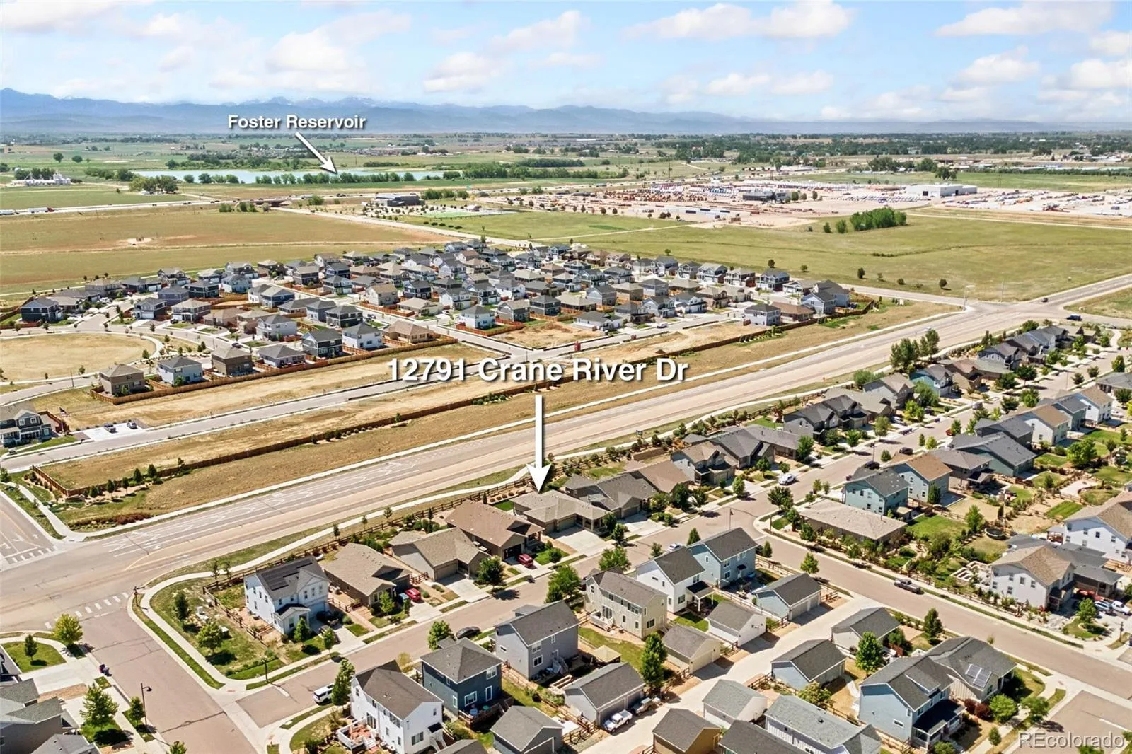 12791 Crane River Drive Longmont CO 80504 | MLS #REC4328841 06232026201231 1600 46