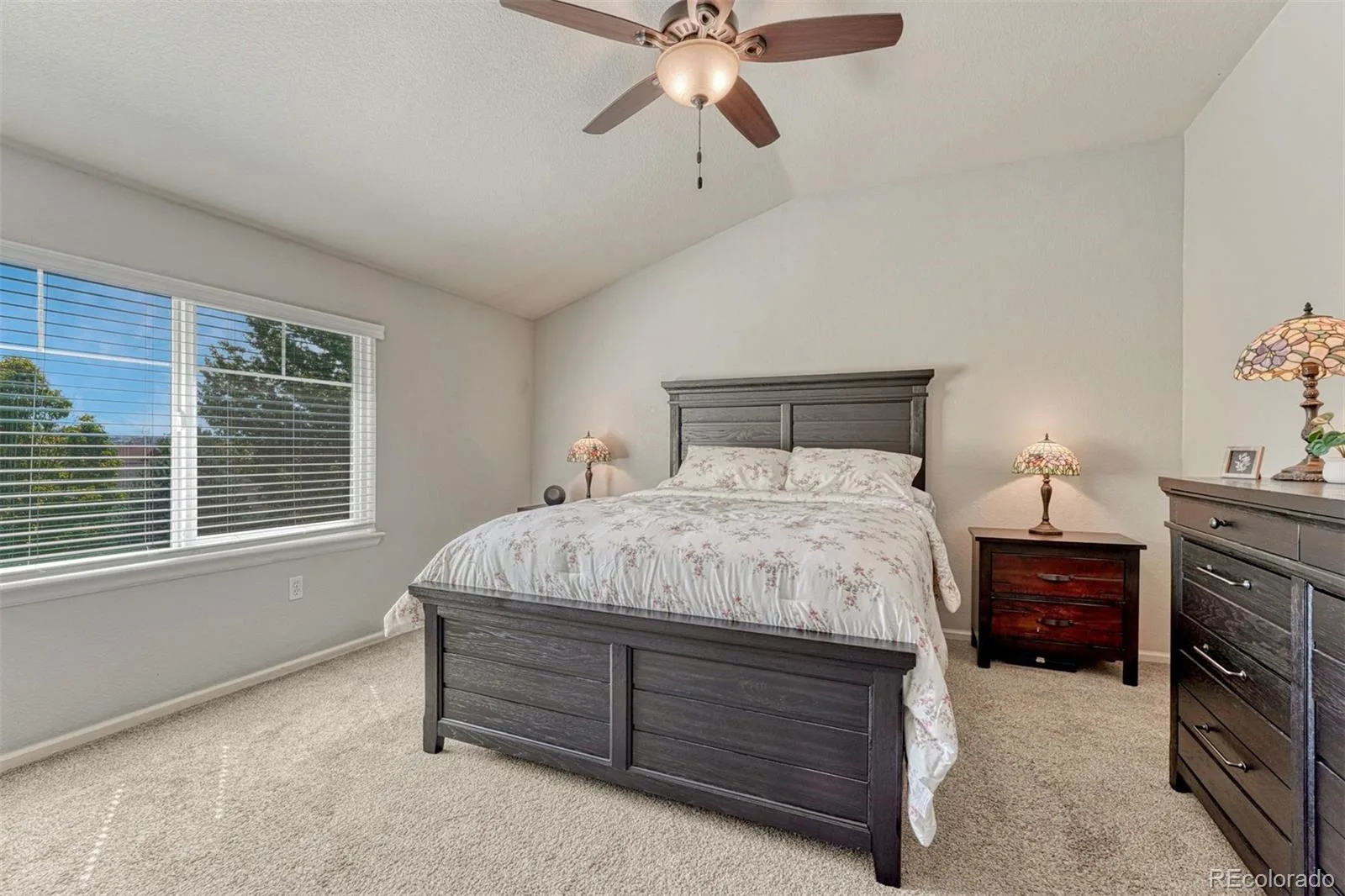 9832 Amber Rock Drive Parker CO 80134 MLS #REC4344405 07312026175705 1600 18