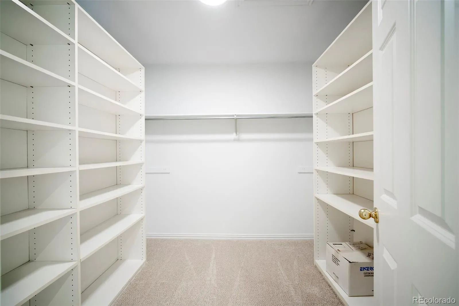 03192026235449 1600 24